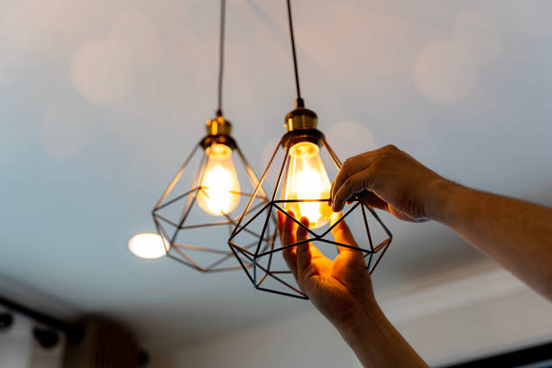 Best Local Electrician Companies  in Inverness, CA